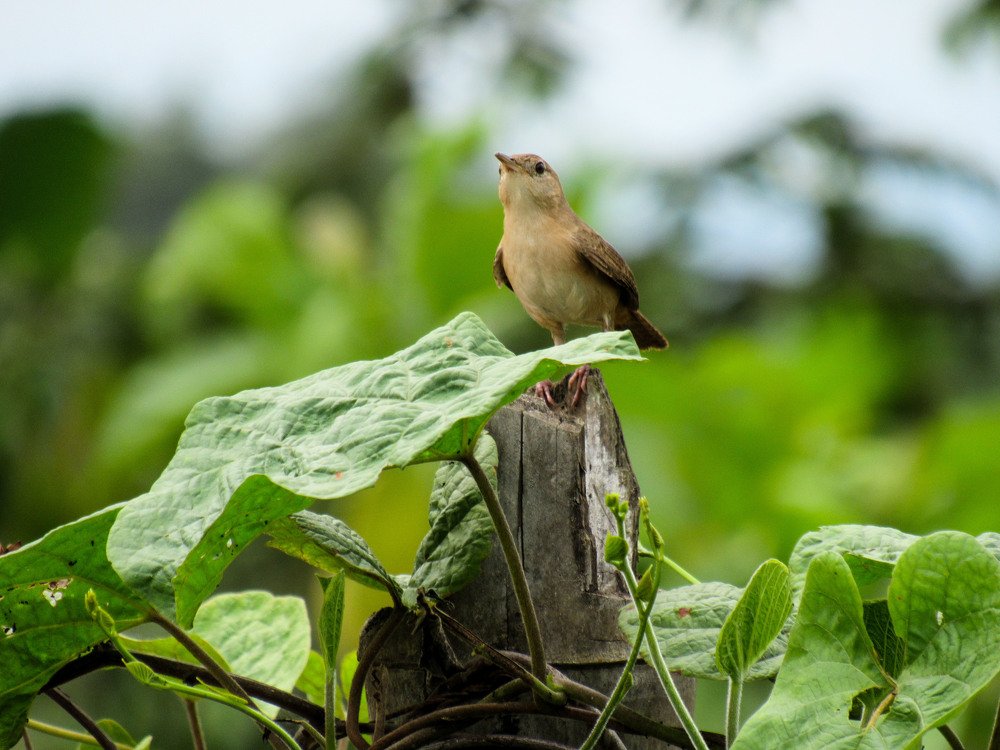 Photograph by Bryan Macay