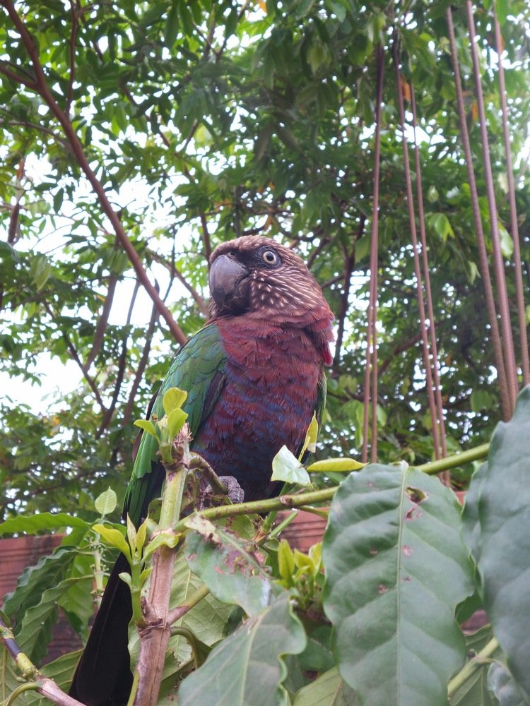 Photograph by YESID CASTRO