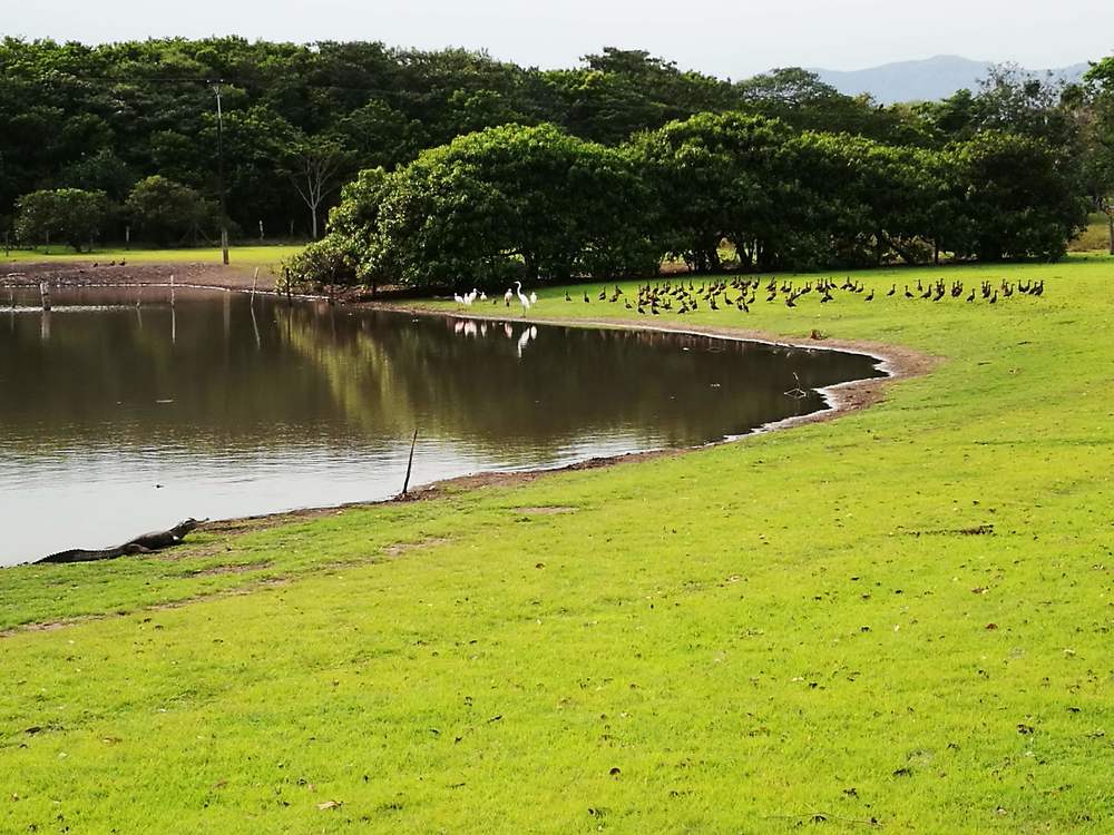 Photograph by YESID CASTRO