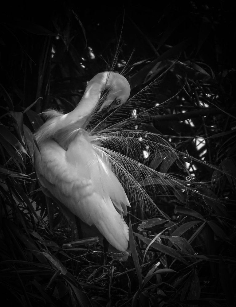 Heavenly Beauty ❤️