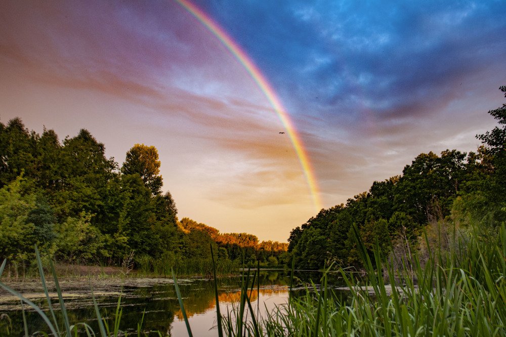 Photograph by Галина Завязкина