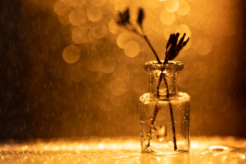 Photograph by Сергей Романченко