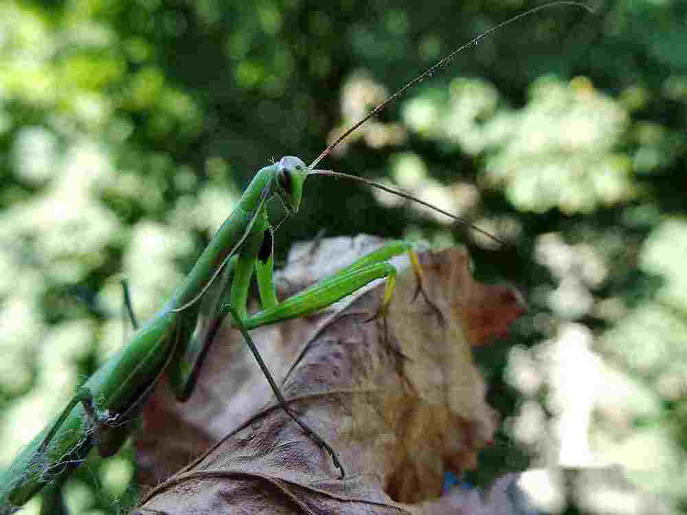 Photograph by Игорь Филипенко