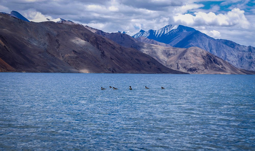 Фотография автора Vijay Richhiya