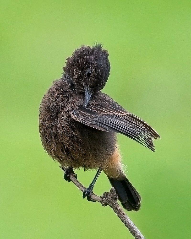 Photograph by Sakshi Pawar