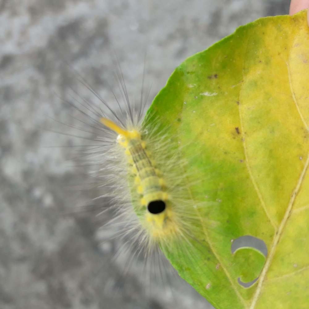 Nature and its Beauty.