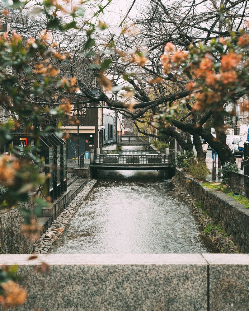 Photograph by Maria Shalaeva