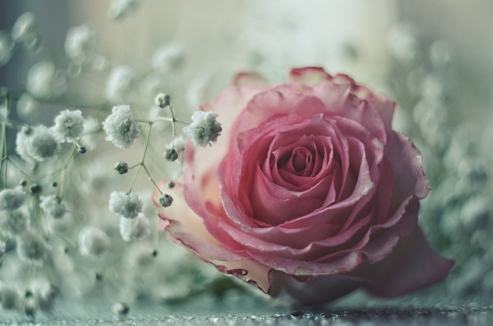 Photograph by Ольга Распопова