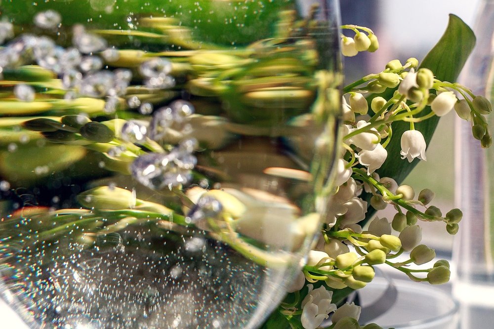 Photograph by Екатерина Рябикина