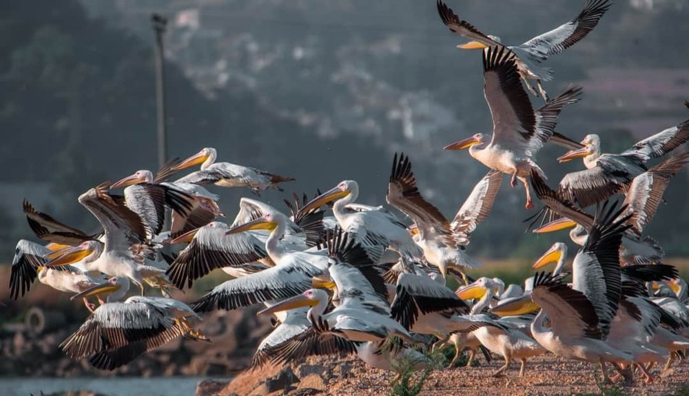 Photograph by Алекс Гейнер