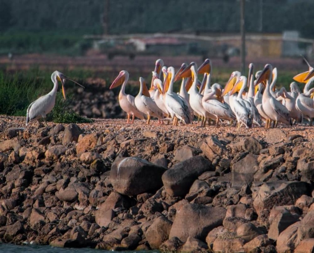 Photograph by Алекс Гейнер