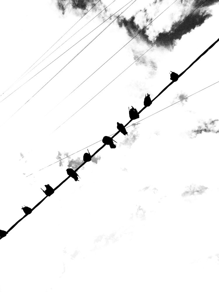 Photograph by Еллисе