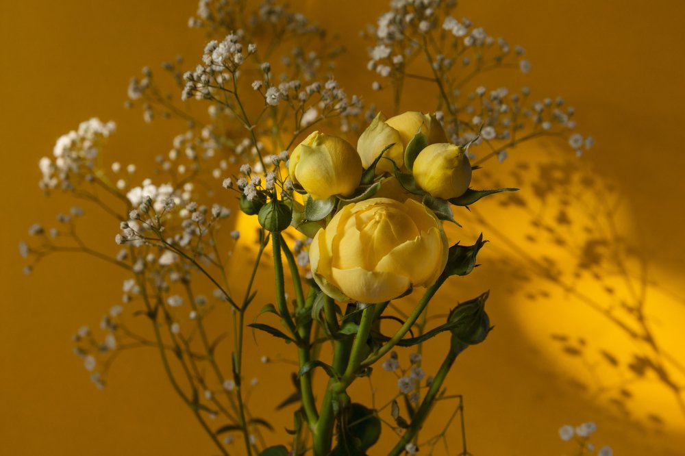 Photograph by Виктория