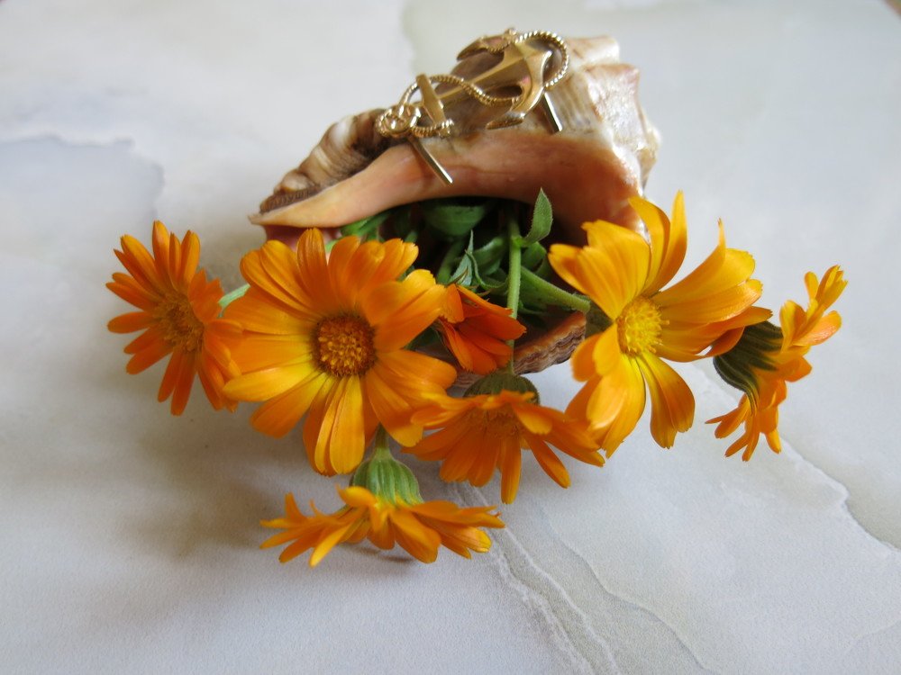 Photograph by ЭЛЬМИРА  ИСМАИЛОВА