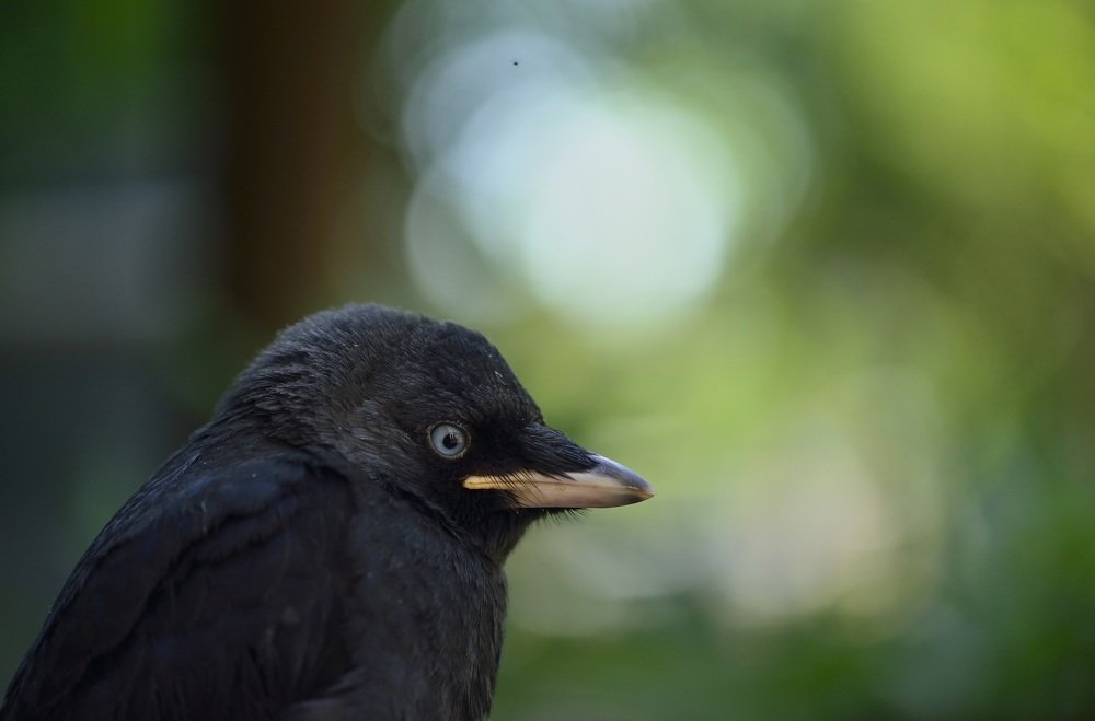 Photograph by ruurd visser