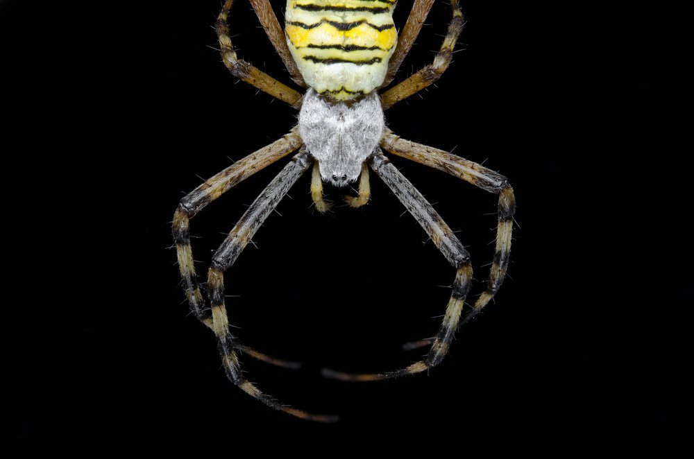 Photograph by Денис Белов