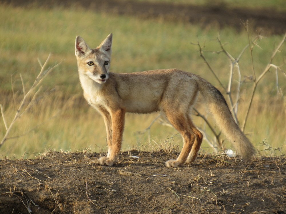 Photograph by Марина Савченко