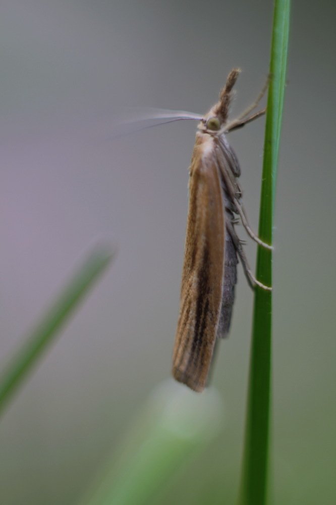 Photograph by Светлана Попкова