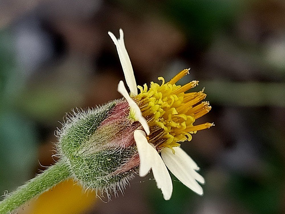 Photograph by Hendrawan Hendra
