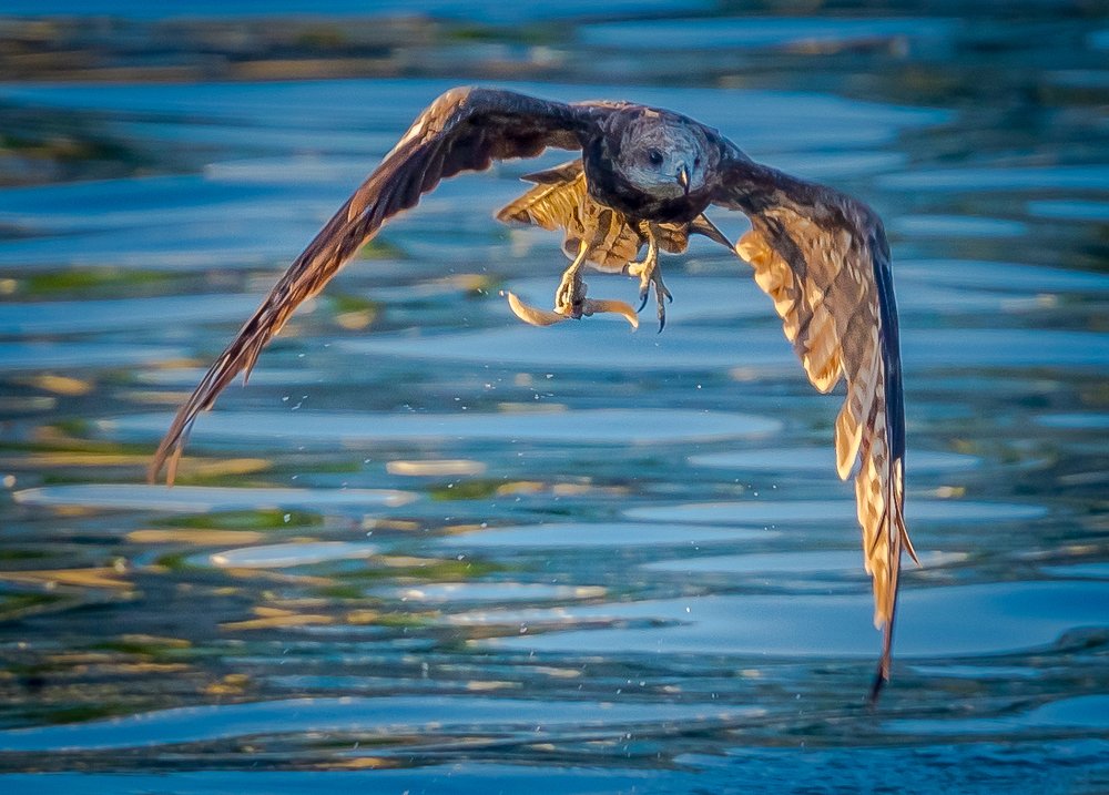 Photograph by Maurice Leung