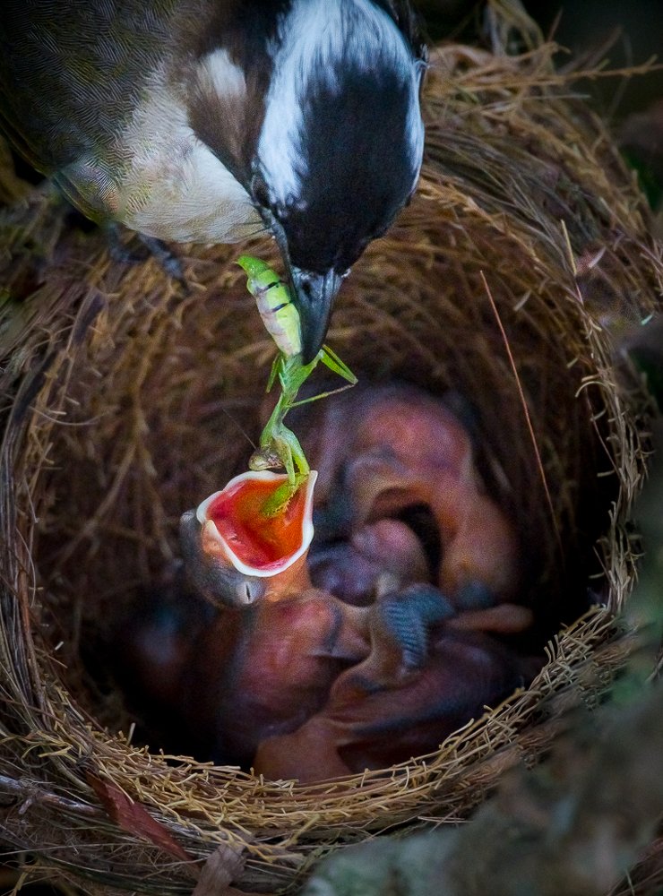 Photograph by Maurice Leung