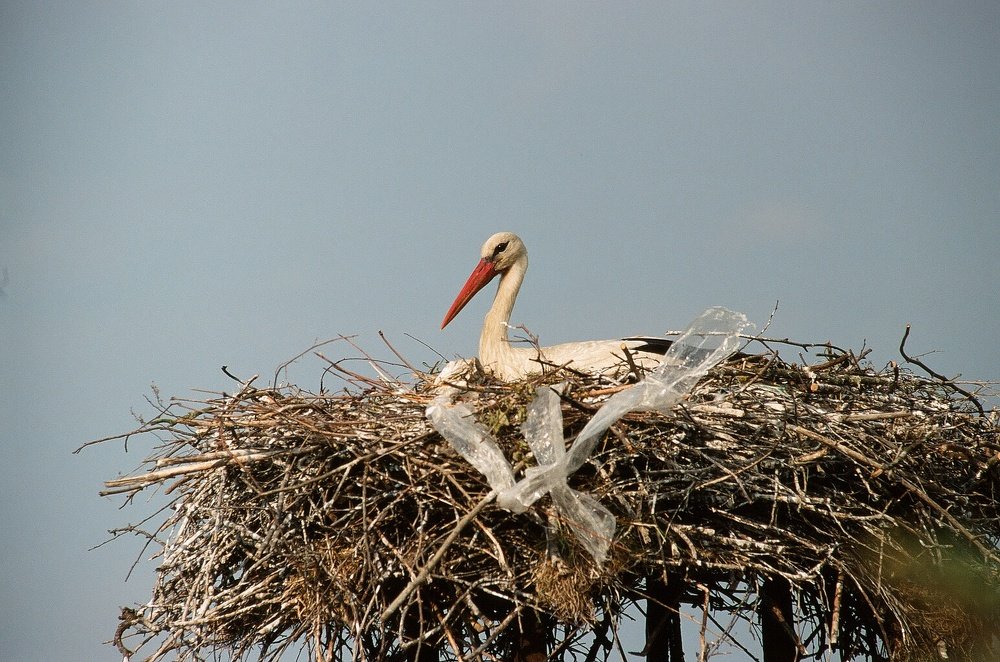 Photograph by Darko Defranceschi