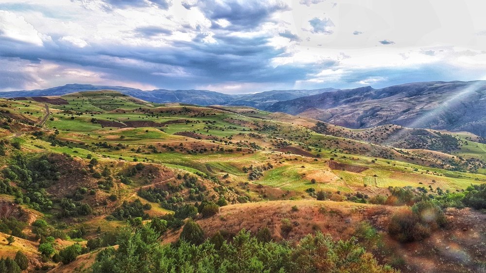 Photograph by Seyyed Mohammad Marjaie