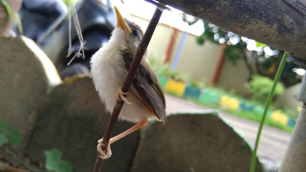 Фотография автора Parag Purkar