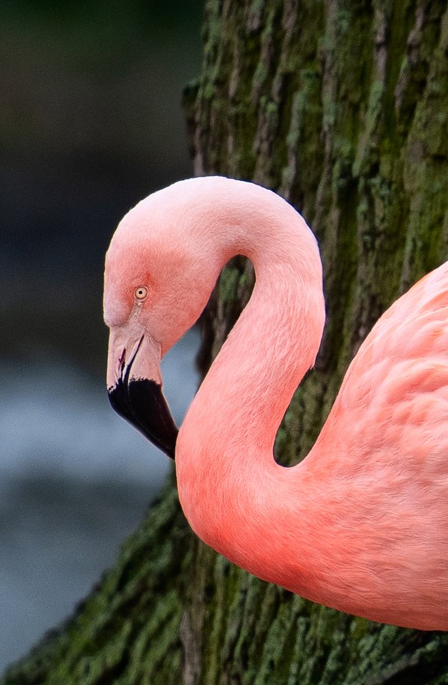 Photograph by Юлия Борт