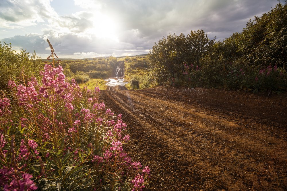 Старая дорога