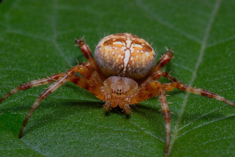 Photograph by Александр Шлюпиков