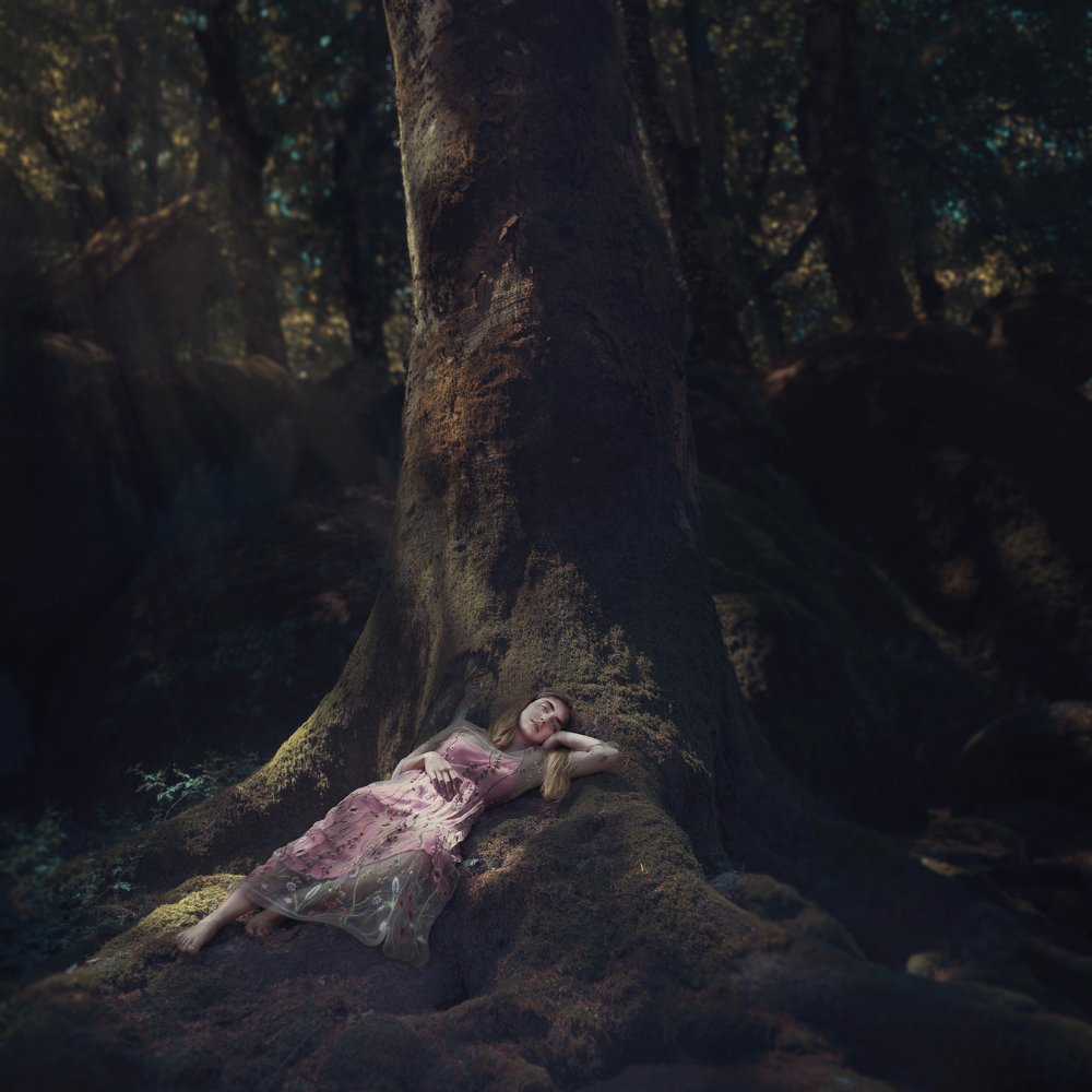 Midsummer night's dream