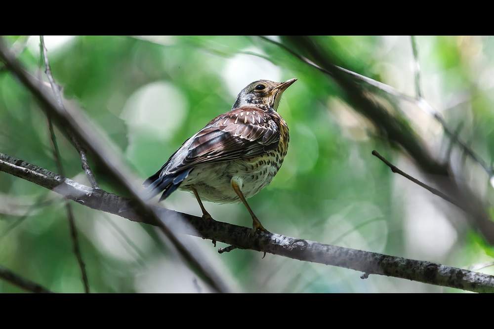 Photograph by Владимир Салапонов