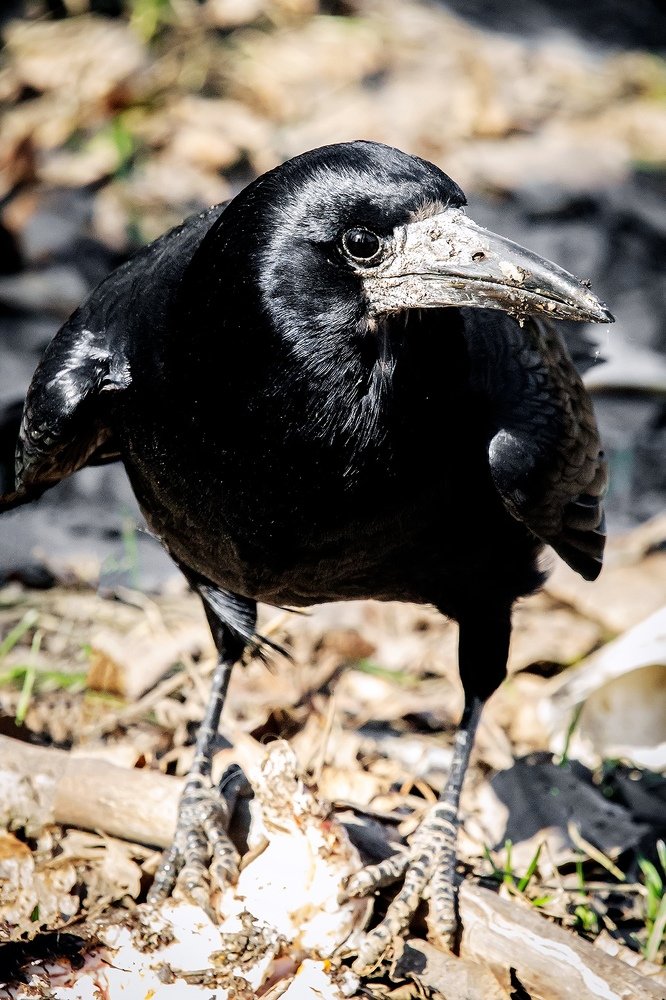 Photograph by Владимир Салапонов