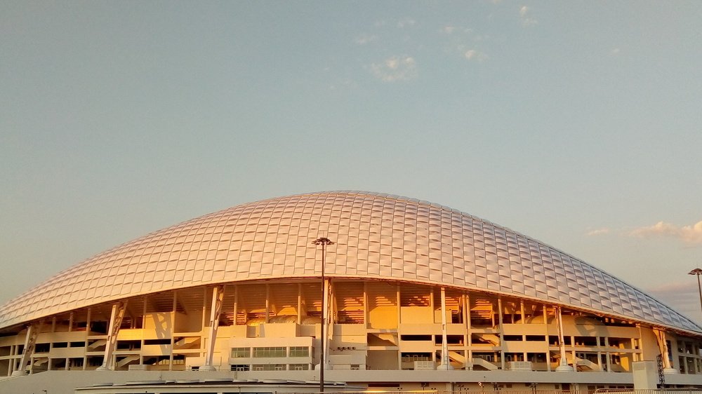 Photo #4874503