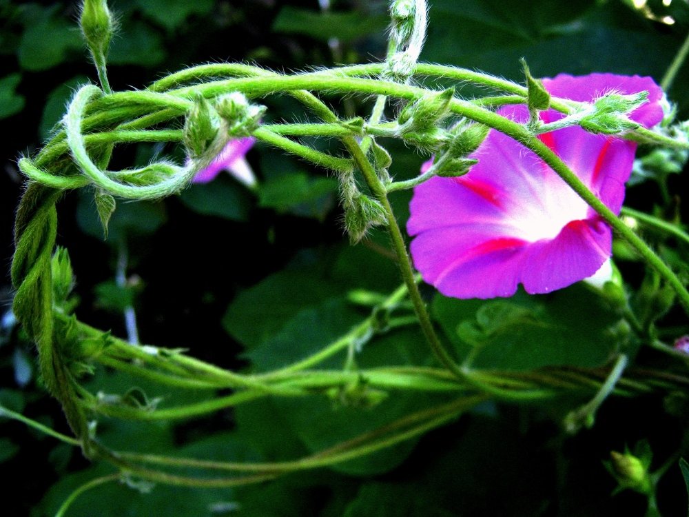 Photograph by Мария Арькова