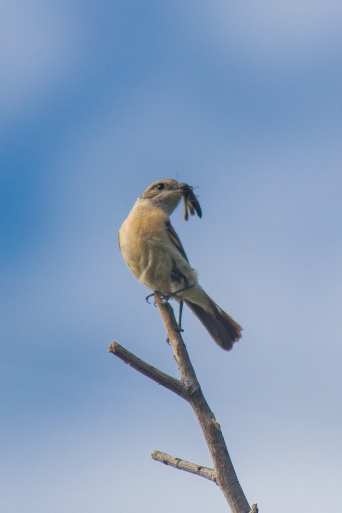Photograph by Роман Кондрашин