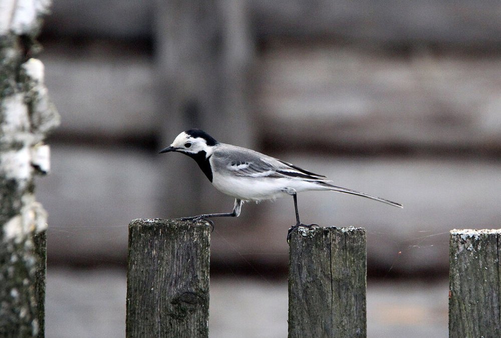 Photograph by Сергей Покладов