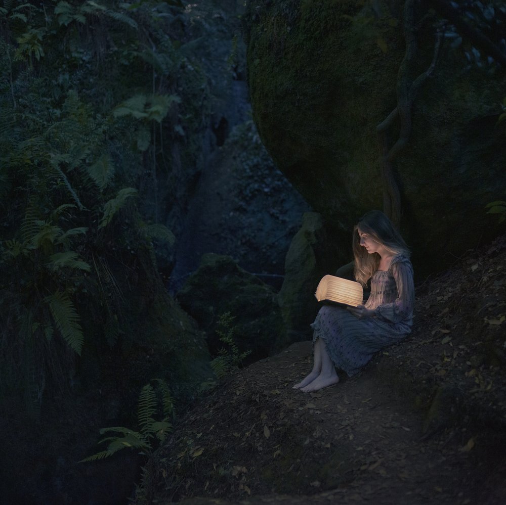 forest of elinghtenment