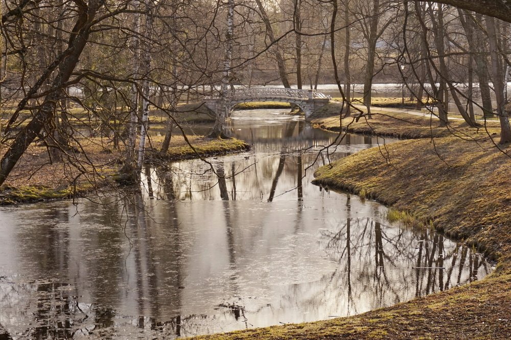 Photograph by Юлия Ганюшина