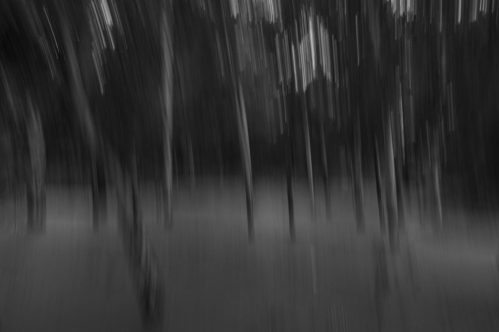 Photograph by Tarun Jatav