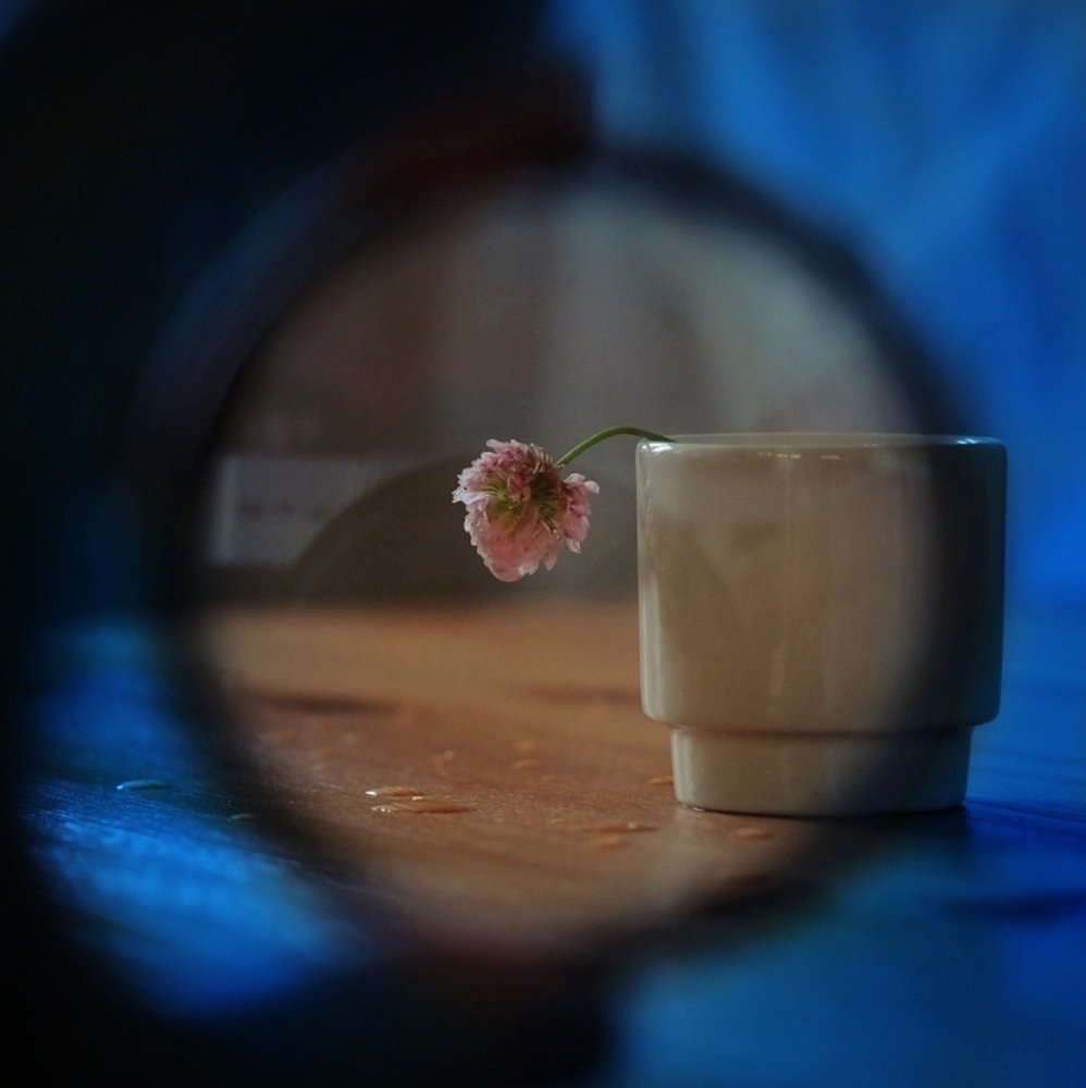 Photograph by Елена Исрафилова