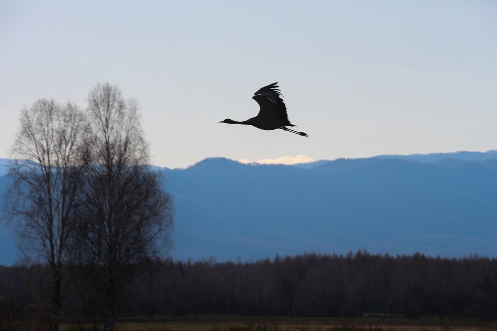 Photograph by Оксана Савина