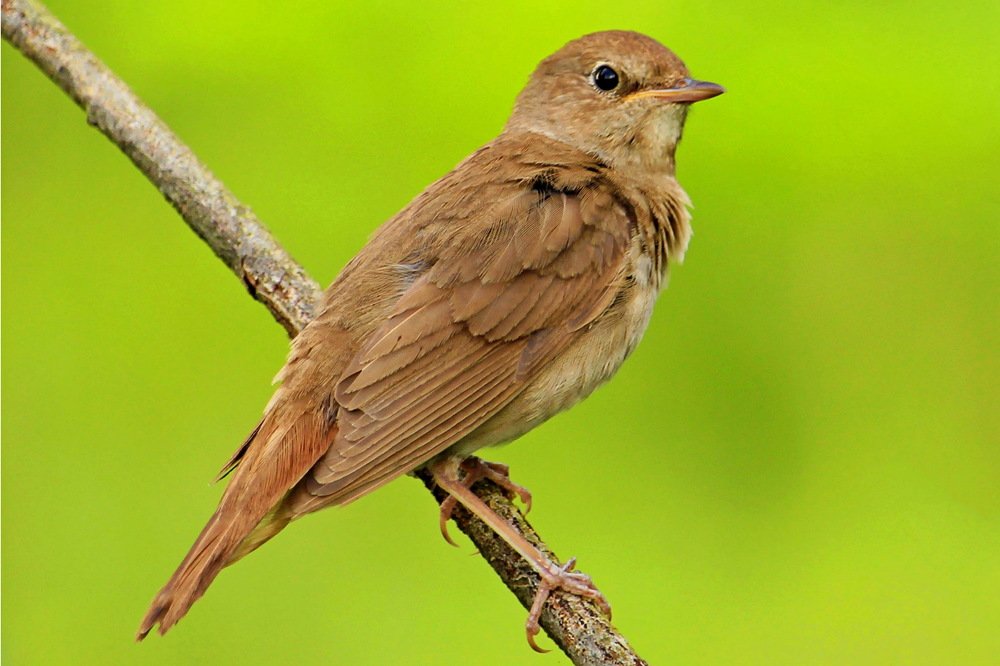 Photograph by Сергей Кожевников