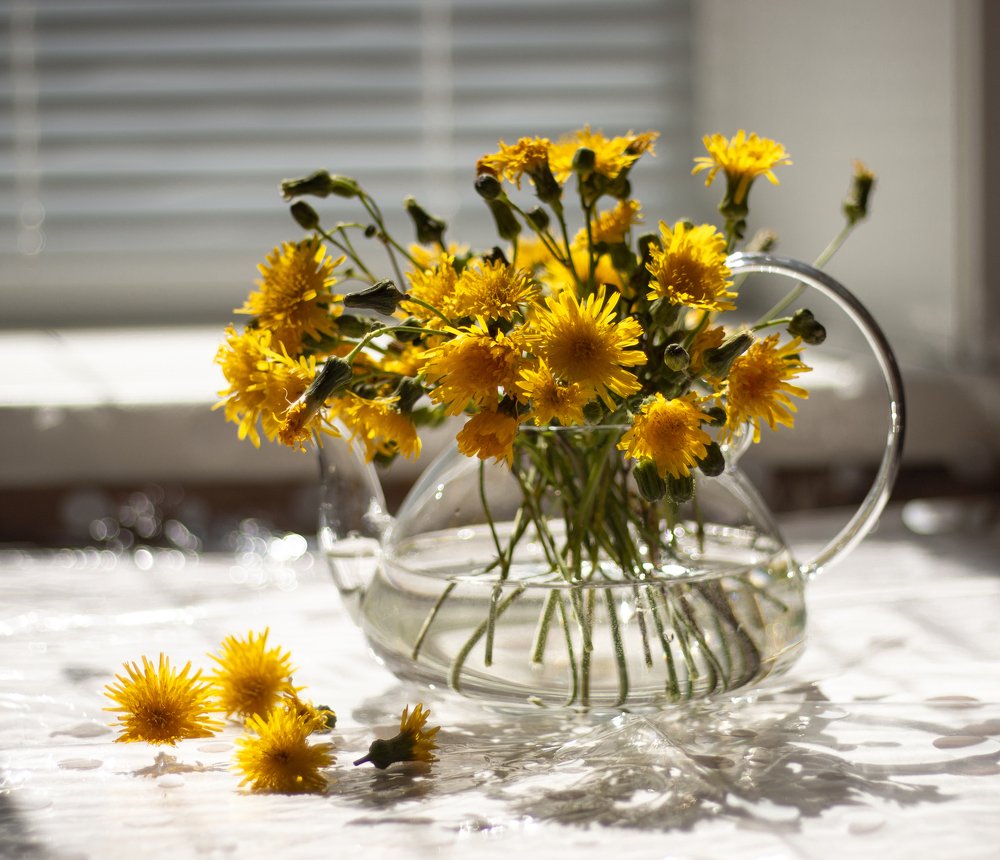 Photograph by Светлана Фёдорова