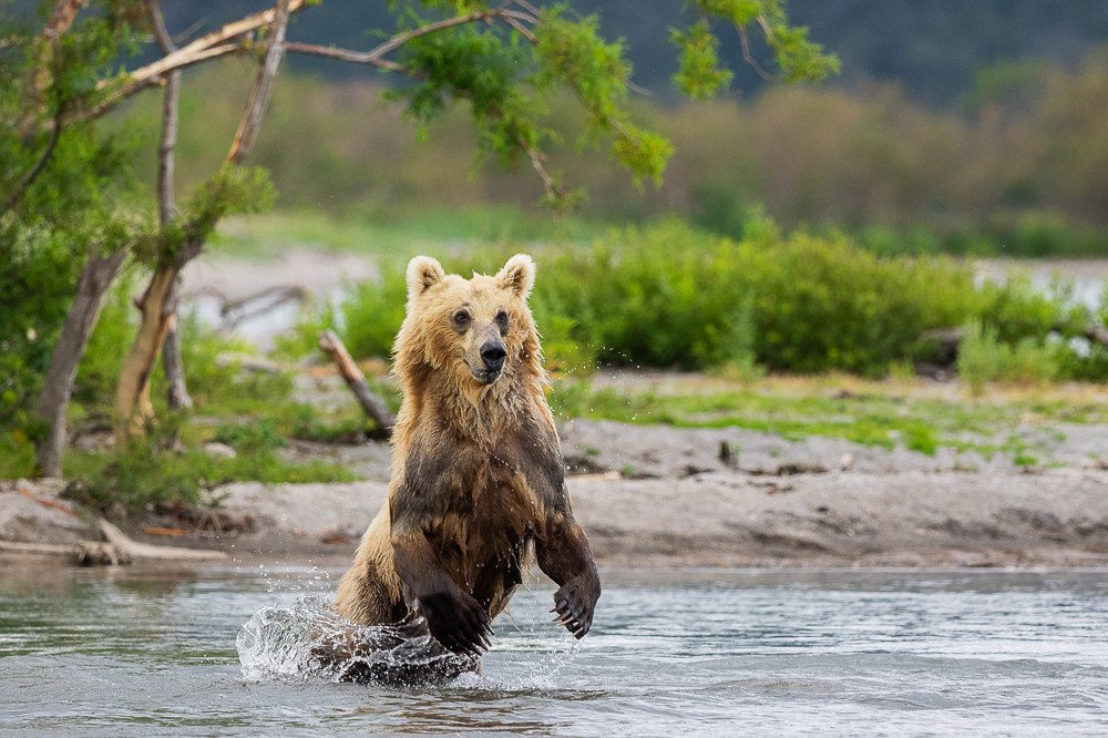 Photograph by Марина Маликова