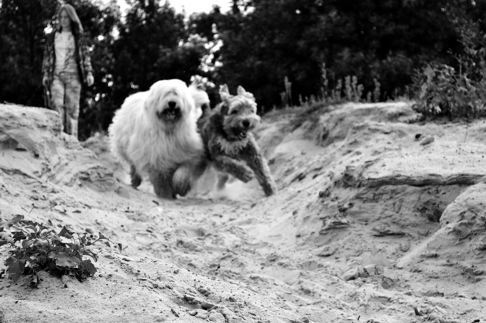 Photograph by Cергей Землянский