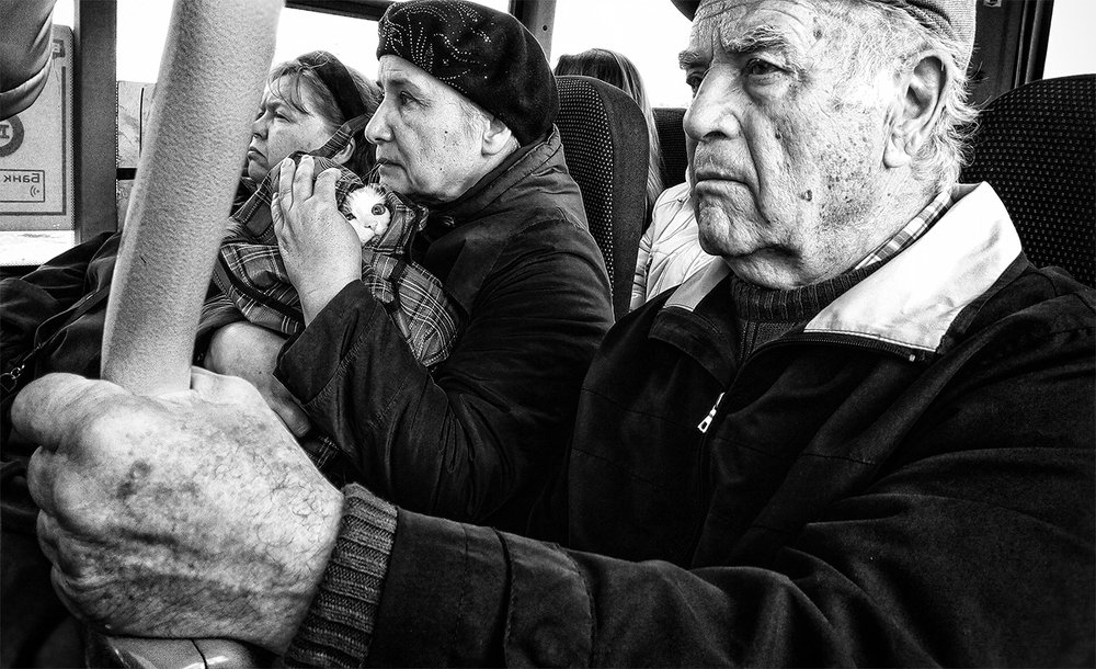 Этот жестокий мир