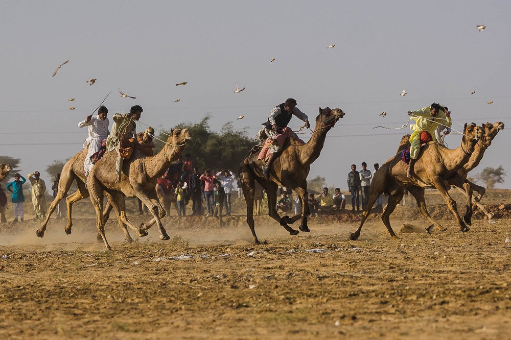 Photograph by Марина Маликова