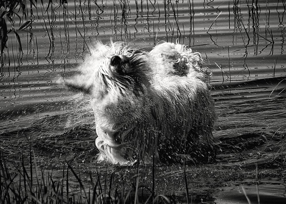 Photograph by Cергей Землянский